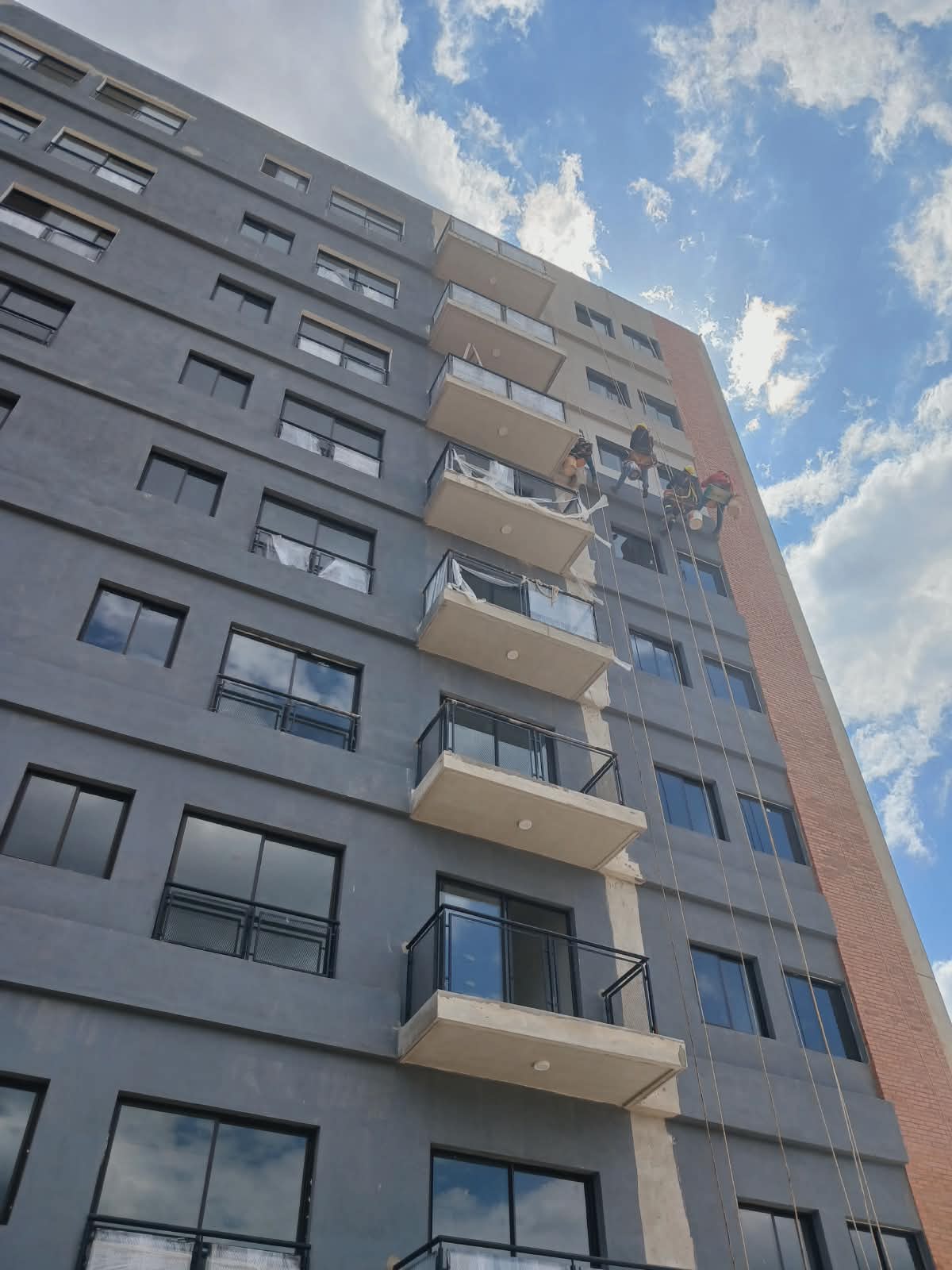 Proyecto LN Pinturas