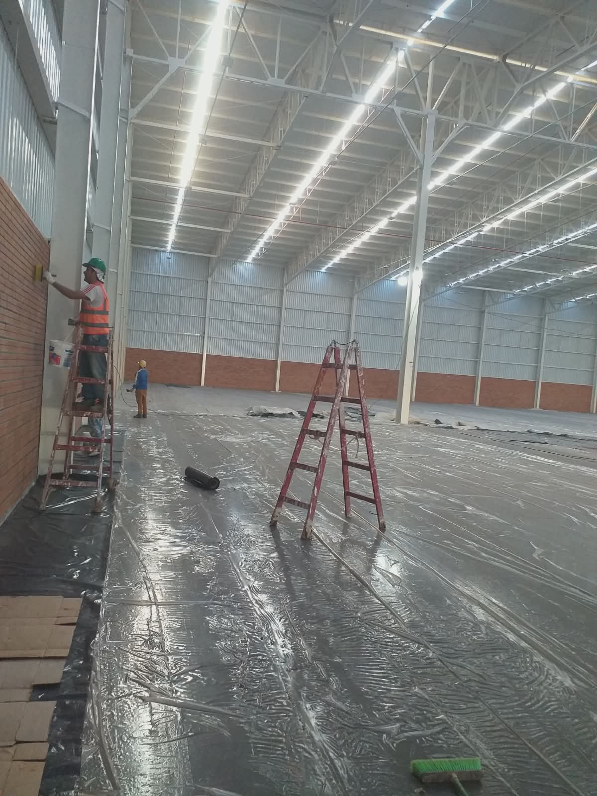 Proyecto LN Pinturas